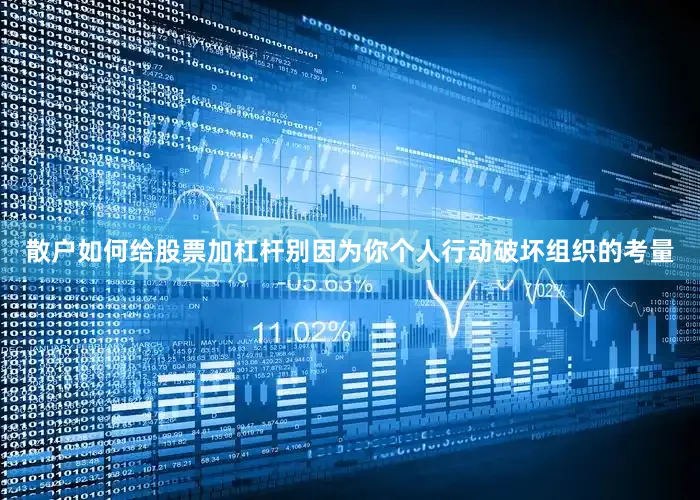 散户如何给股票加杠杆别因为你个人行动破坏组织的考量