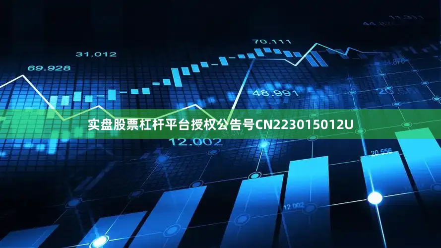 实盘股票杠杆平台授权公告号CN223015012U