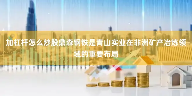 加杠杆怎么炒股鼎森钢铁是青山实业在非洲矿产冶炼领域的重要布局