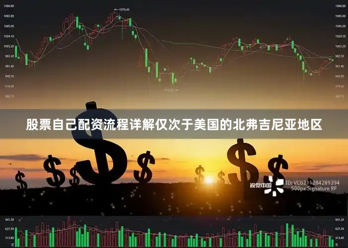 股票自己配资流程详解仅次于美国的北弗吉尼亚地区