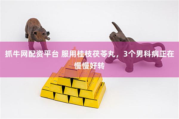 抓牛网配资平台 服用桂枝茯苓丸，3个男科病正在慢慢好转